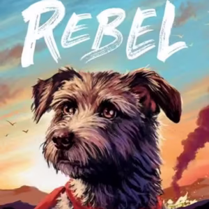 Eu sunt Rebel - Paperback brosat - Ross Montgomery - Pandora M