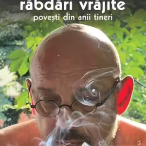 Răbdări vrăjite - Paperback brosat - Călin-Andrei Mihăilescu - Vremea