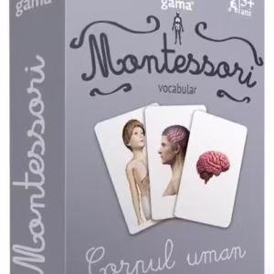 Corpul uman - Board book - Gama