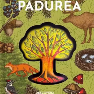 Pădurea – 3D - Hardcover - *** - Kreativ
