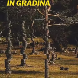 Sputnik în grădină - Paperback brosat - Gabi Eftimie - OMG Publishing House