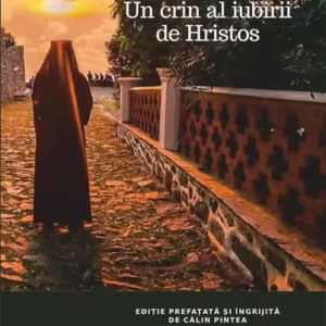 Părintele Ioan Iovan - Paperback brosat - Lebăda Neagră