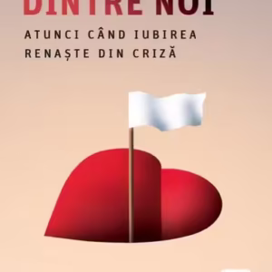 Conflictul dintre noi - Paperback brosat - Domnica Petrovai - Trei