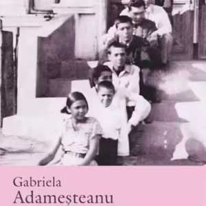 Meserii nerecomandate femeilor - Paperback brosat - Gabriela Adameșteanu - Polirom