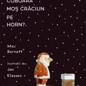 Cum coboară Moș Crăciun pe horn? - Hardcover - Vlad și Cartea cu Genius