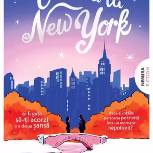 O iarnă la New York - Paperback brosat - Nemira