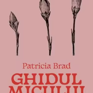 Ghidul micului actor - Paperback brosat - Vellant