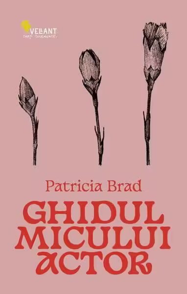 Ghidul micului actor – Paperback brosat – Vellant