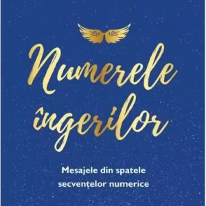 Numerele îngerilor - Paperback brosat - Kyle Gray - For You