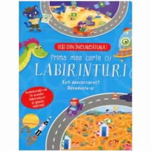 Prima mea carte cu labirinturi - Paperback brosat - *** - Flamingo