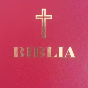 Biblia (grena) - Hardcover - *** - Institutului Biblic şi de Misiune Ortodoxă