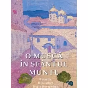 O muscă în Sfântul Munte - Paperback brosat - Vasilis G. Frangopulos - Sophia
