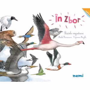 În zbor - Hardcover - Capucine Mazille, Michel Francesconi - Nemira