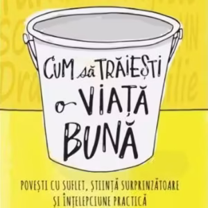 Cum să trăiești o viață bună - Paperback brosat - Jonathan Fields - Litera
