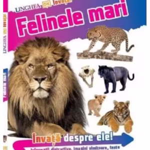 Învață! Felinele mari - Paperback brosat - *** - Linghea