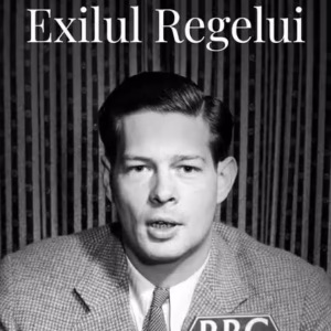 Exilul regelui - Paperback brosat - Diana Mandache - Curtea Veche