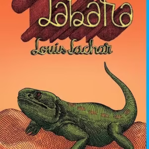 Tabăra - Hardcover - Louis Sachar - Arthur