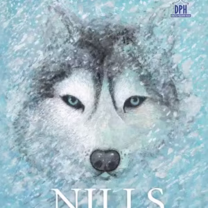 Nills - Hardcover - Gabriel Poenaru - Didactica Publishing House