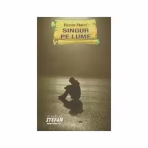 Singur pe lume - Paperback brosat - Hector Malot - Ştefan
