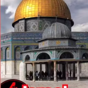 Israel și Palestina - Paperback brosat - Dana Ciolcă - Ad Libri