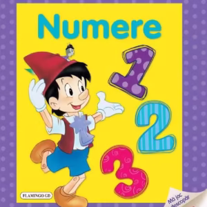 Numere - Hardcover - Flamingo