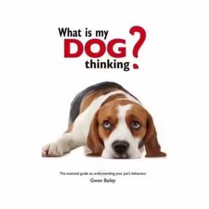 What is my Dog Thinking? : The essential guide to understanding your pet - Paperback brosat - Gwen Bailey - Octopus Publishing Group