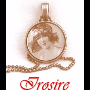 Irosire - Paperback brosat - Sigrid Combuchen Combuchen - BCC Publishing