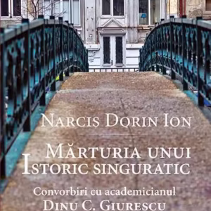 Mărturia unui istoric singuratic - Paperback brosat - Narcis Dorin Ion - RAO