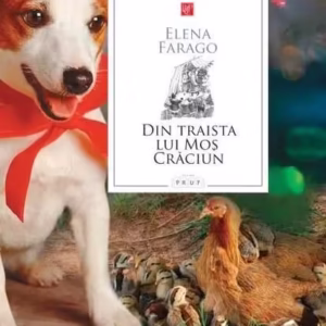 Din traista lui Moș Crăciun - Hardcover - Elena Farago - Prut