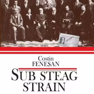 Sub steag străin. Comuniştii şi Partidul Comunist din România în arhivele Kominternului (1919–1924) - Paperback brosat - Cătălin Feneşan - Enciclopedică