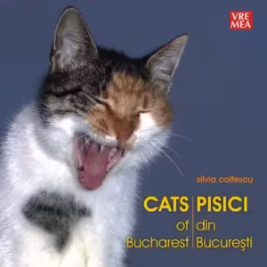 Pisici din București - Cats of Bucharest - Paperback brosat - Silvia Colfescu - Vremea