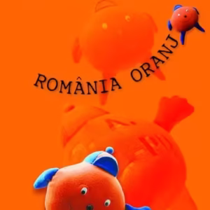 România oranj - Hardcover - Marian Nazat - RAO