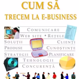 Cum să trecem la e-business - Hardcover - Steve Sleight - RAO