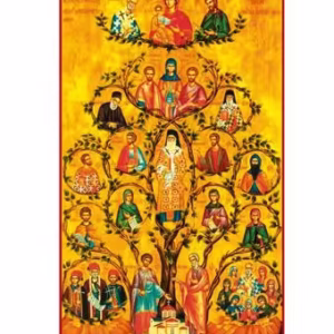 Pe mine m-a operat Sfântul Nectarie - Paperback brosat - Danion Vasile - Meteor Press