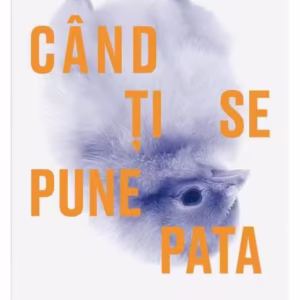 Când ți se pune pata - Hardcover - Wendelin Van Draanen - Young Art