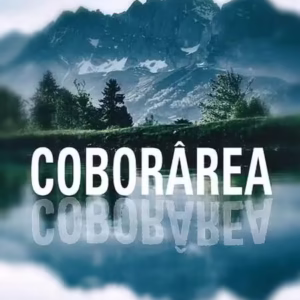 Coborârea - Paperback brosat - Tim Johnston - Litera