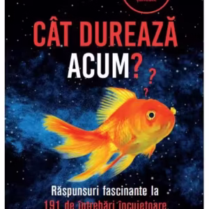 Cât durează acum? - Paperback brosat - Corina Hădăreanu - Litera