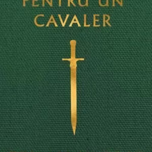 Reguli pentru un cavaler - Hardcover - Ethan Hawke - Young Art