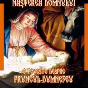 Tradiţii legate de Naşterea Domnului - Paperback brosat - A. Pascu - Meteor Press