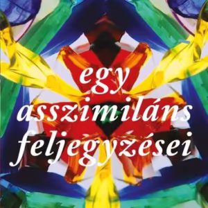 Egy asszimiláns feljegyzései - Paperback brosat - Székely Ervin - Curtea Veche