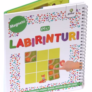 Labirinturi