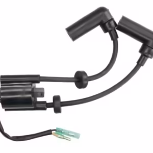 Bobina inductie PARSUN F15; F9.9